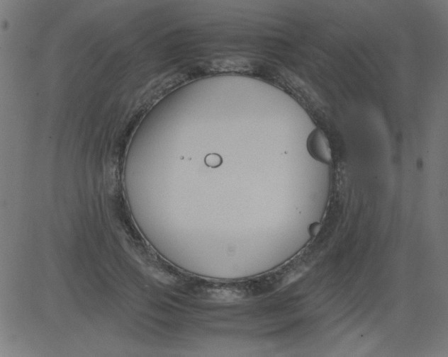 X0000081290741200702012244