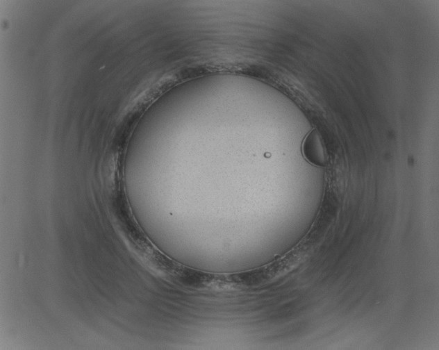 X0000081290742200702012244