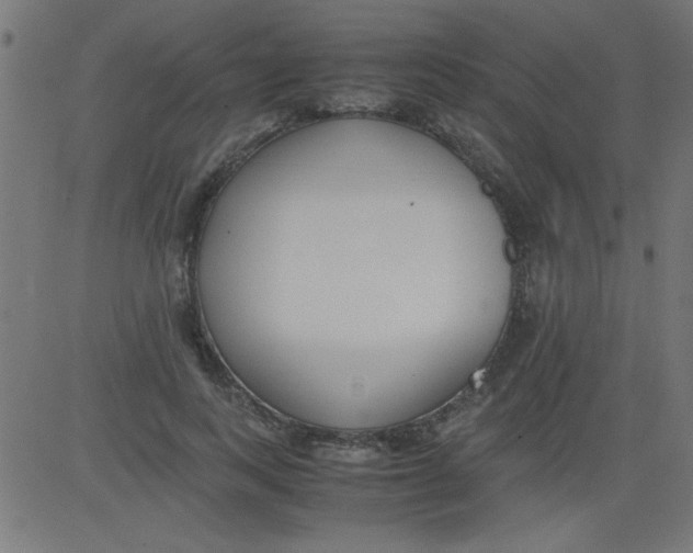 X0000081290743200702012244