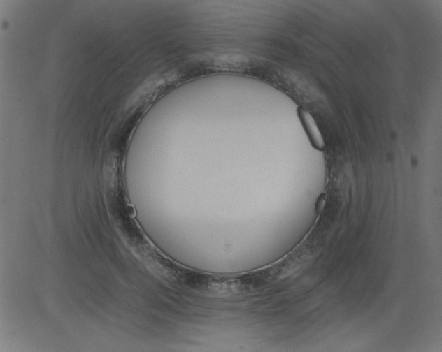 X0000081290744200702012244