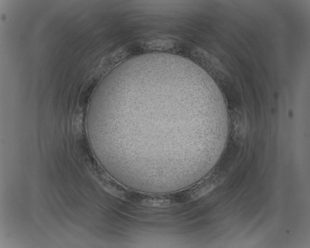 X0000081290745200702012244