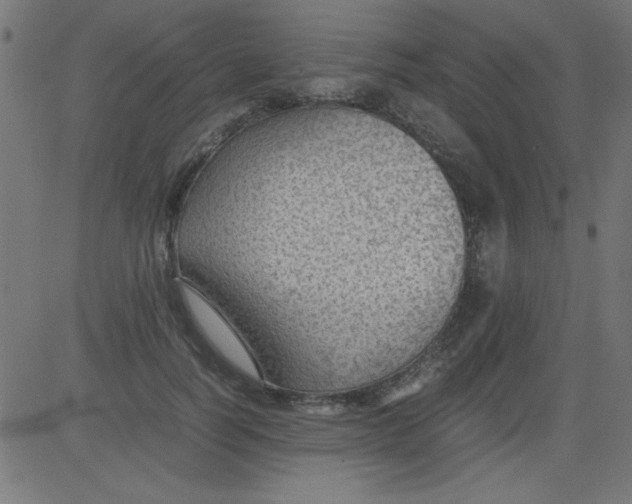 X0000081290746200702012244