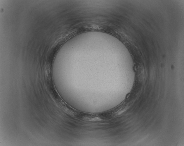 X0000081290747200702012244