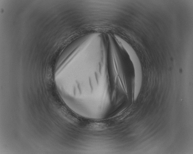 X0000081290748200702012244