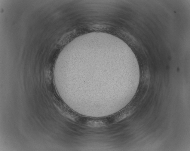 X0000081290749200702012244