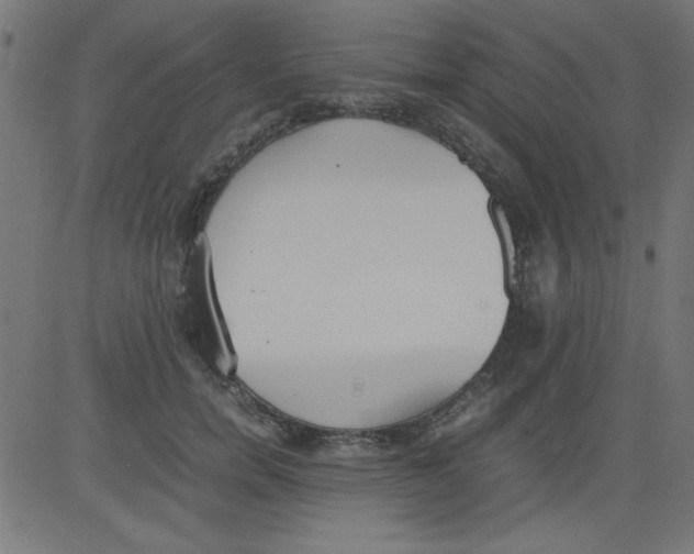 X0000081290750200702012244