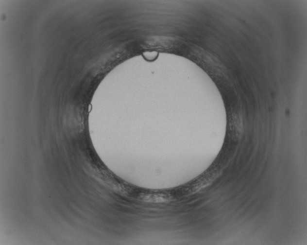 X0000081290751200702012244