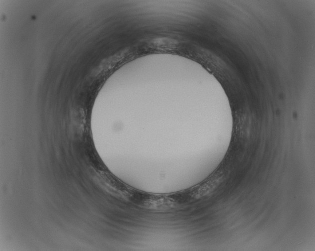 X0000081290752200702012244