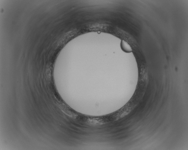 X0000081290753200702012244