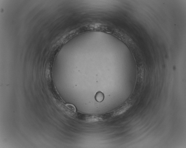 X0000081290754200702012244