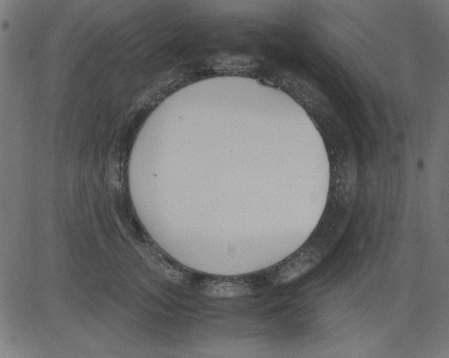 X0000081290755200702012244