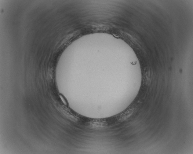 X0000081290756200702012244