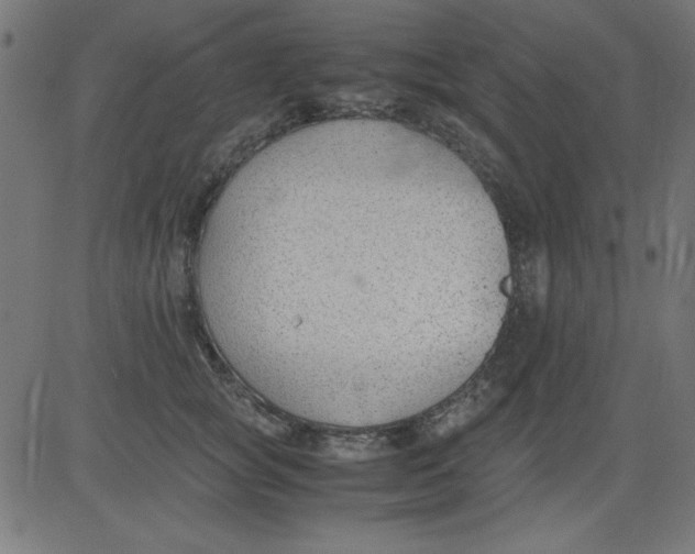 X0000081290757200702012244