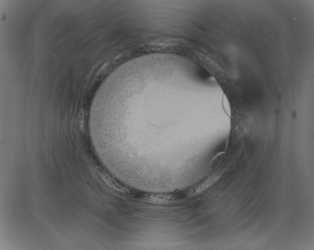 X0000081290758200702012244