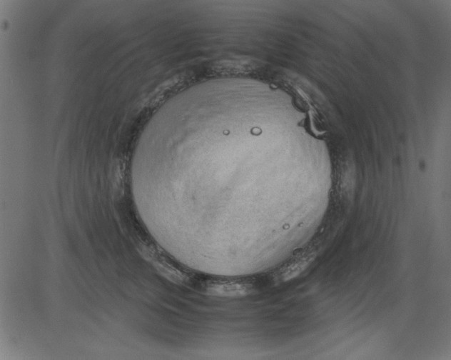 X0000081290759200702012244