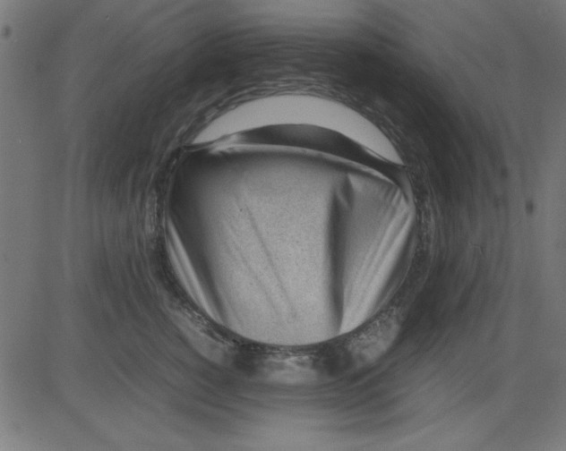 X0000081290760200702012244