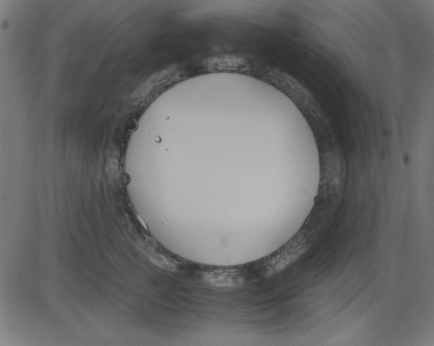 X0000081290761200702012244