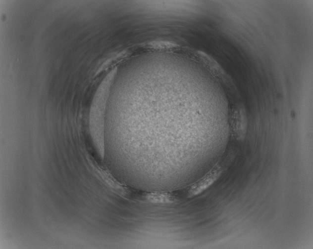 X0000081290762200702012244