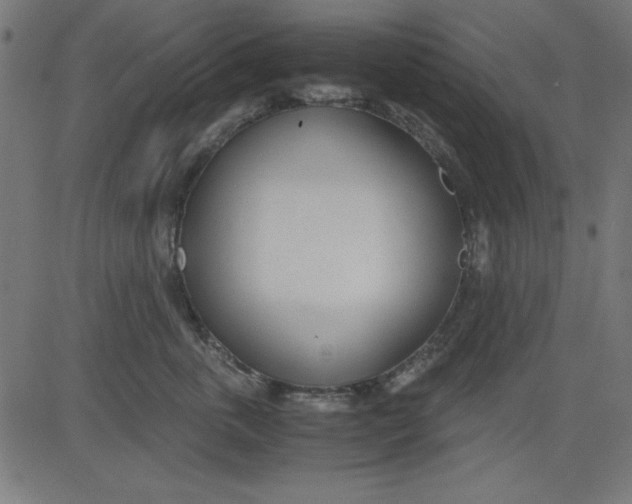 X0000081290763200702012244