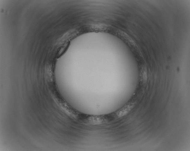 X0000081290764200702012244