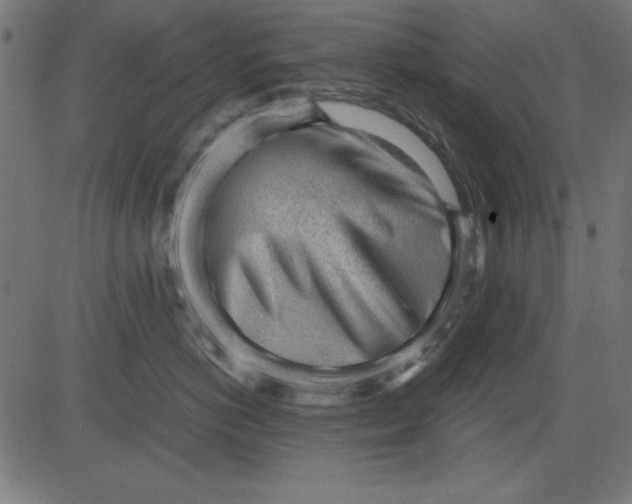 X0000081290766200702012244