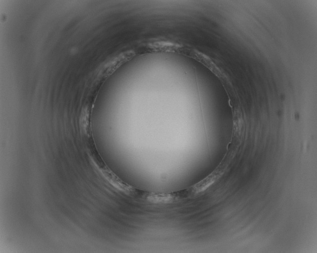 X0000081290767200702012244