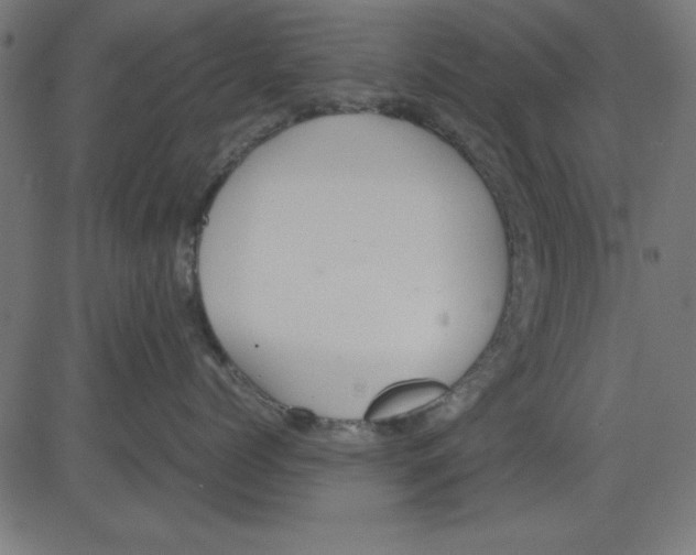 X0000081290768200702012244