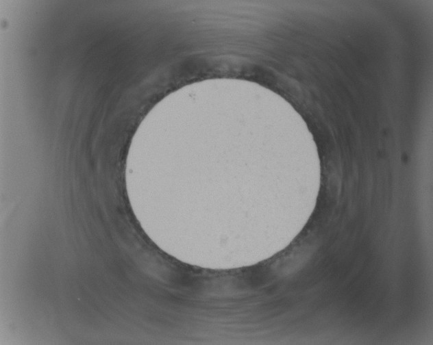 X0000081290769200702012243