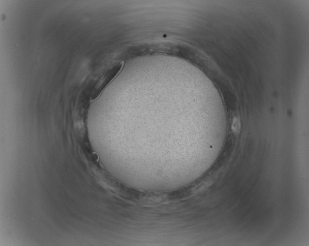 X0000081290771200702012243