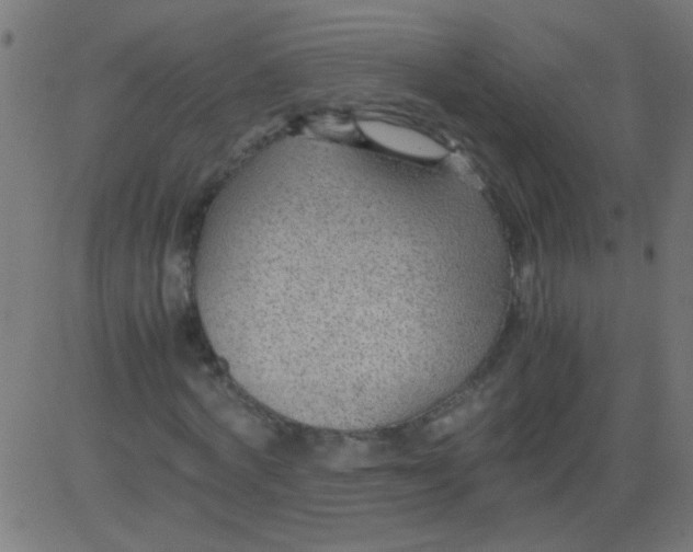 X0000081290772200702012243