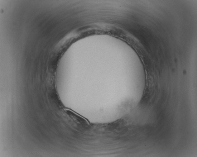 X0000081290773200702012243