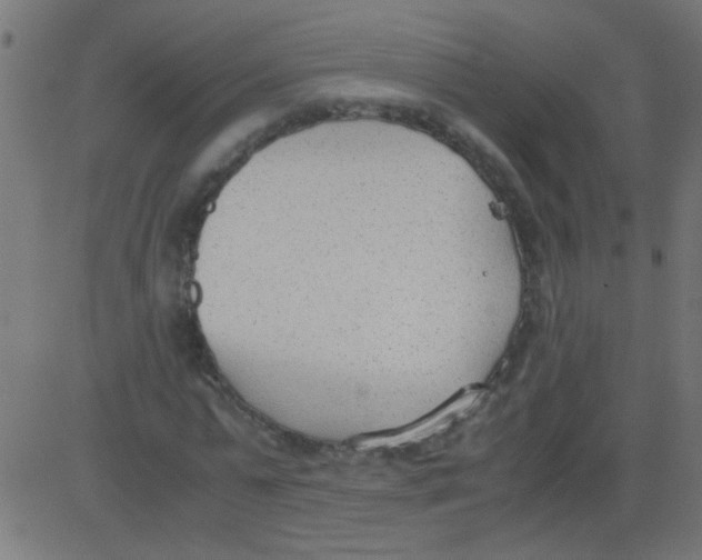 X0000081290775200702012243