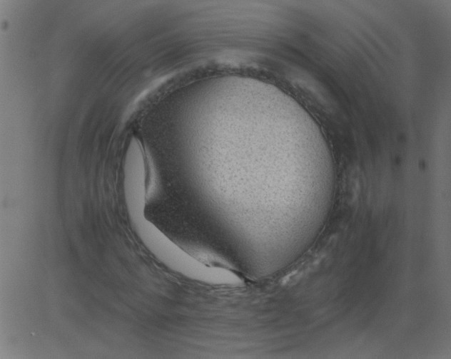 X0000081290776200702012243