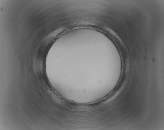 X0000081290777200702012243