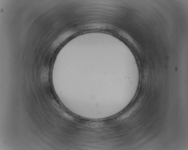 X0000081290778200702012243