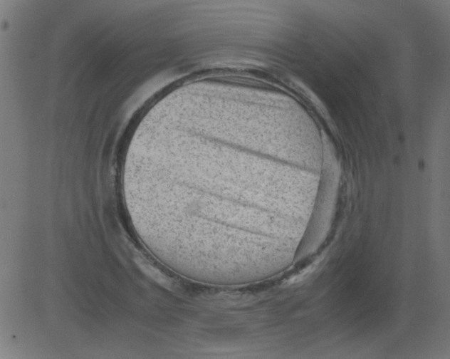 X0000081290779200702012243