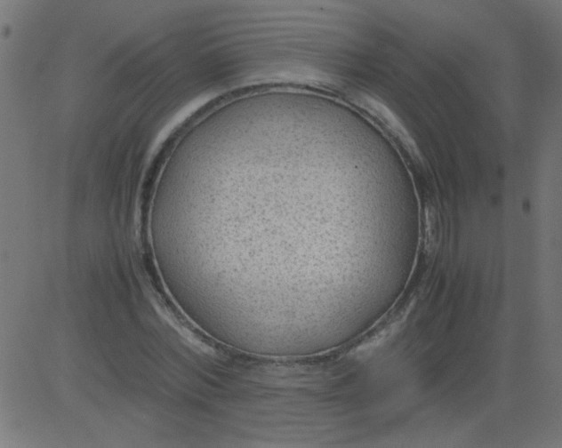 X0000081290780200702012243