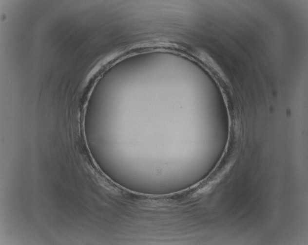 X0000081290781200702012243