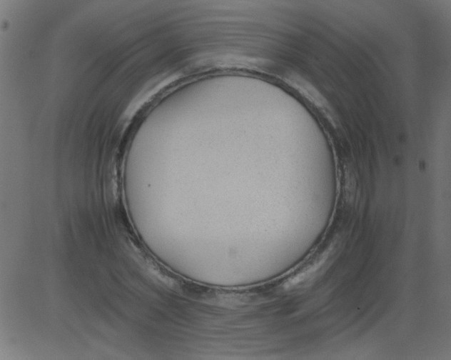 X0000081290782200702012243