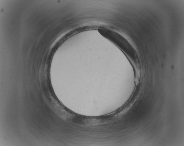 X0000081290783200702012243