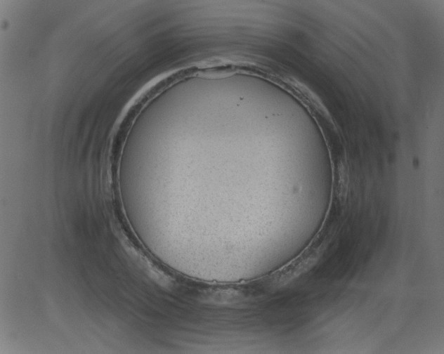 X0000081290784200702012243