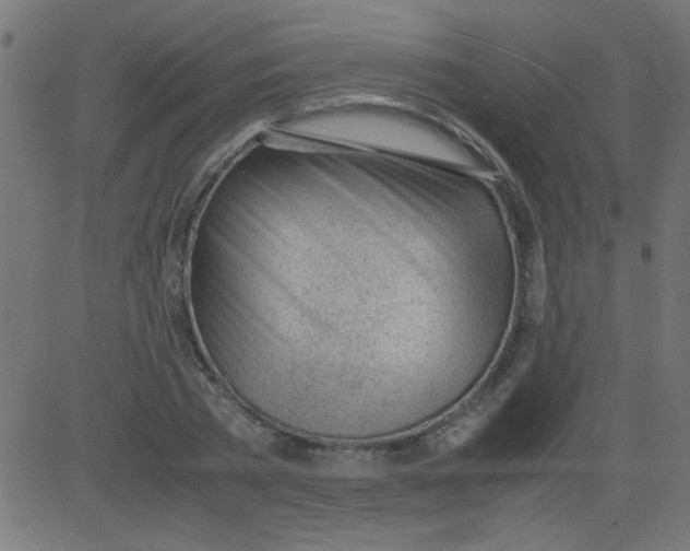 X0000081290785200702012243