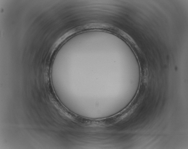 X0000081290786200702012243