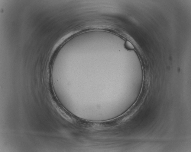 X0000081290787200702012243