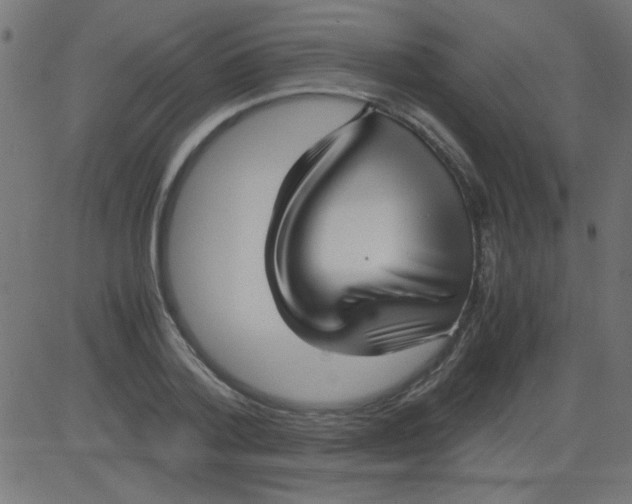 X0000081290788200702012243