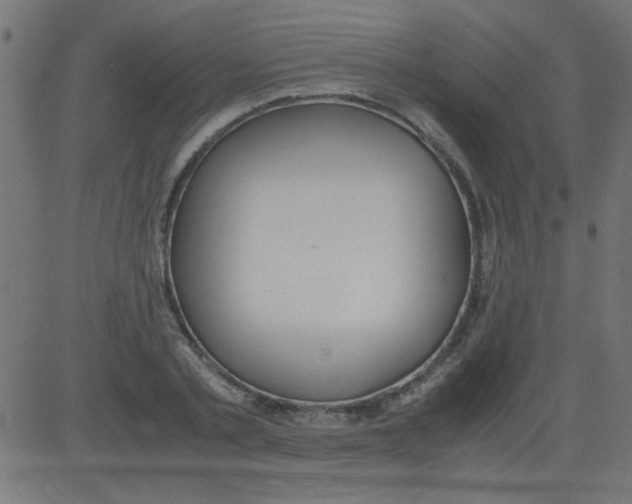 X0000081290789200702012243