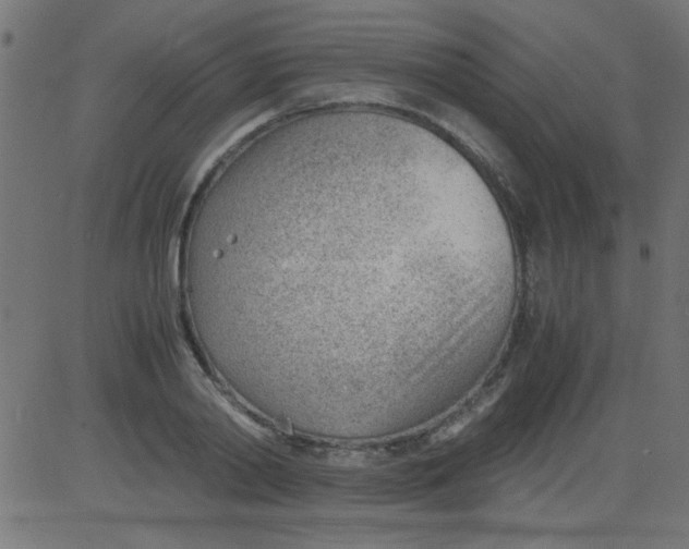 X0000081290790200702012243