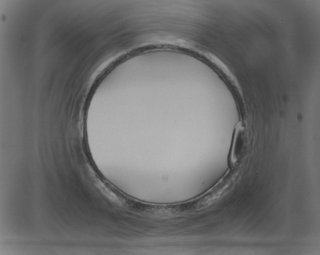 X0000081290791200702012243