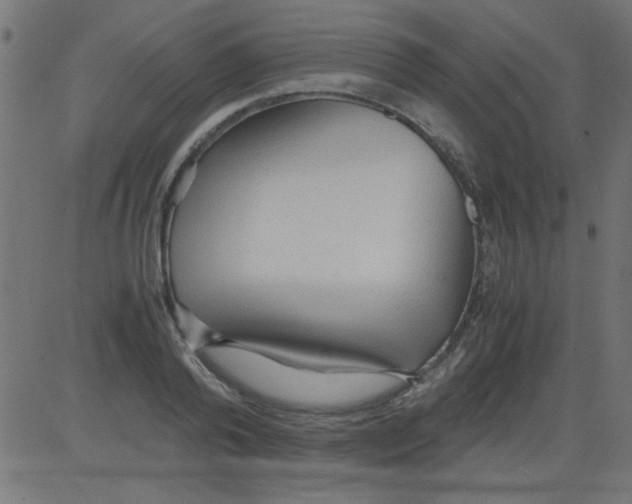 X0000081290792200702012243