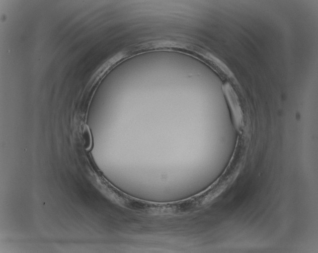 X0000081290793200702012243